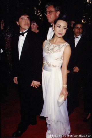 闪耀奥斯卡红地毯的十大华人女星(图)