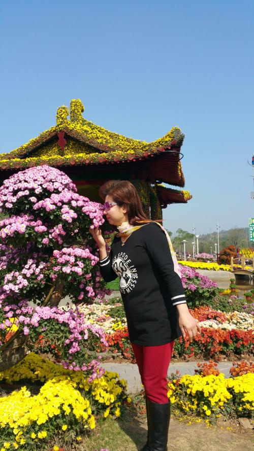 我的美篇2017年4月16号编辑旅游相册!