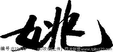 键&nbsp;&nbsp;词: 姚 书法 汉字 九画 传统艺术 矢量 ai格式 设计