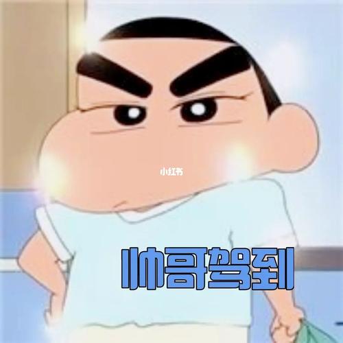 野原新之助表情包_表情包_素材_表情包