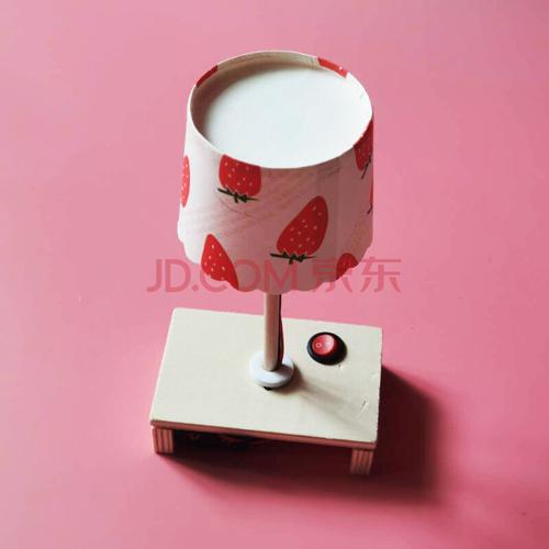 小学生科学实验小制作stem手工拼装材料儿童创意作品台灯科技发明