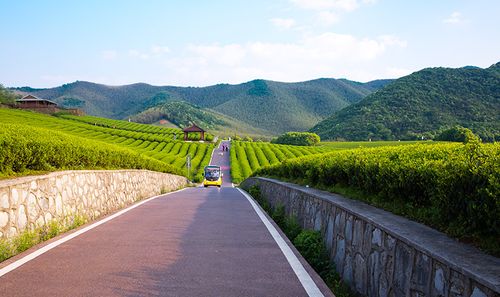 景点预订 景点大全 江苏景点大全 无锡景点大全 宜兴龙池山自行车公园