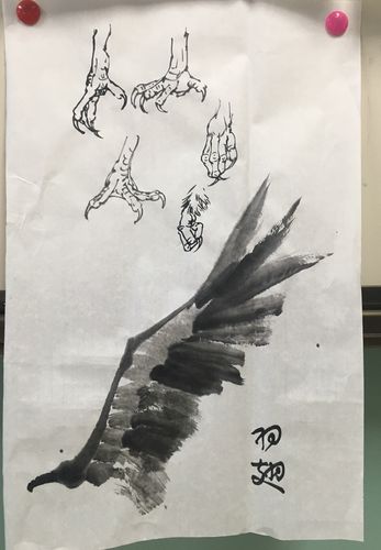 第三幅:鹰爪及展开的羽翅