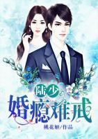 陆少婚瘾难戒网友评价如何精彩章节5赏析