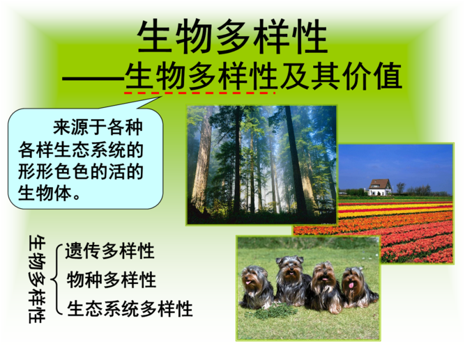 第十章生物多样性及其价值(一轮).ppt 23页