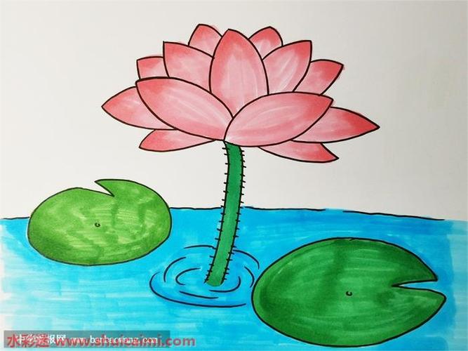 荷花简笔画的画法步骤图解
