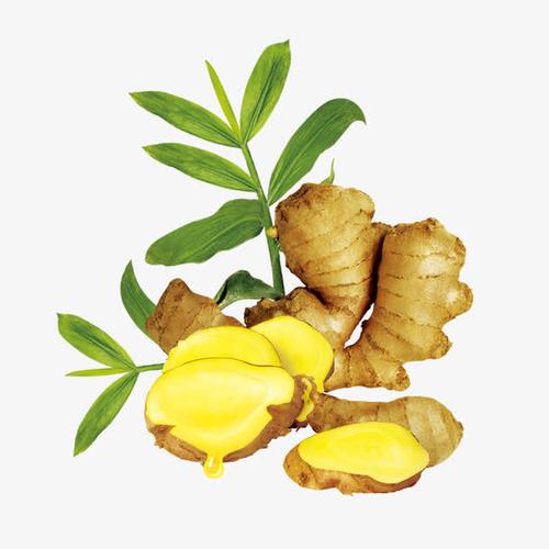 关键词 : 平面设计,装饰图案,生姜,调味食材