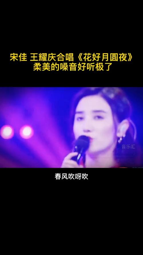 音乐宋佳王耀庆合唱的花好月圆夜有没有唱进你的心里