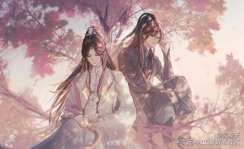 二哈和他的白猫师尊(图)