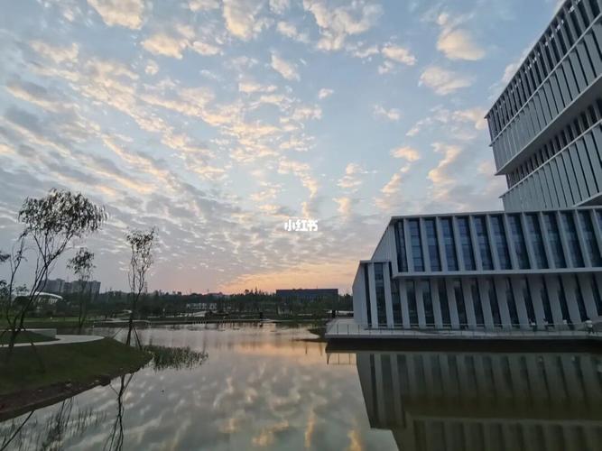 四川轻化工大学_四川轻化工大学_教育_大学教育_大学