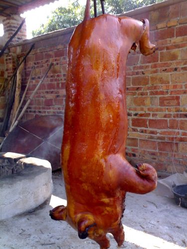 data-lemmaid="10182052">广东人 /a>的习俗一定要用的就是拿"烧猪"