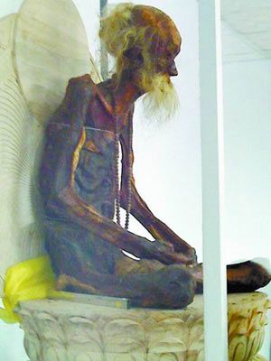 河南高僧圆寂8年真身不腐