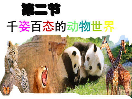 第二节千姿百态的动物世界课件.ppt