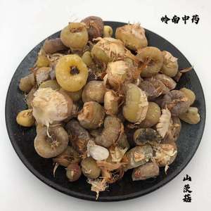 中药材山茨菇,种植冰球子,毛慈菇,泥宾子人头七500g包邮