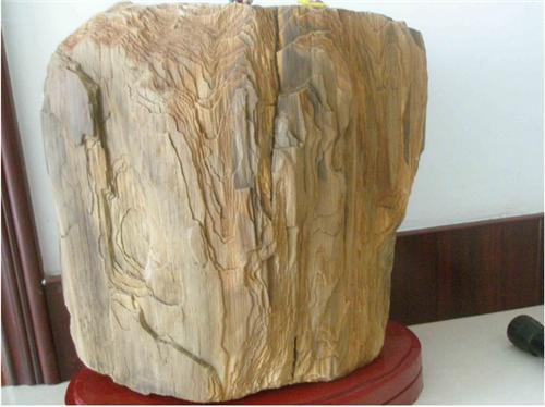 木化石能卖多少钱