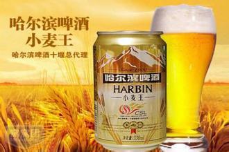 哈尔滨啤酒 哈啤小麦王 330毫升罐装 一箱24听 二箱起购 物流自提