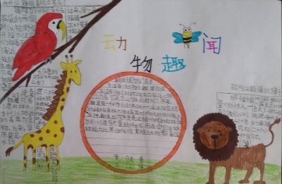 照片保护动物手抄报 保护动物手抄报