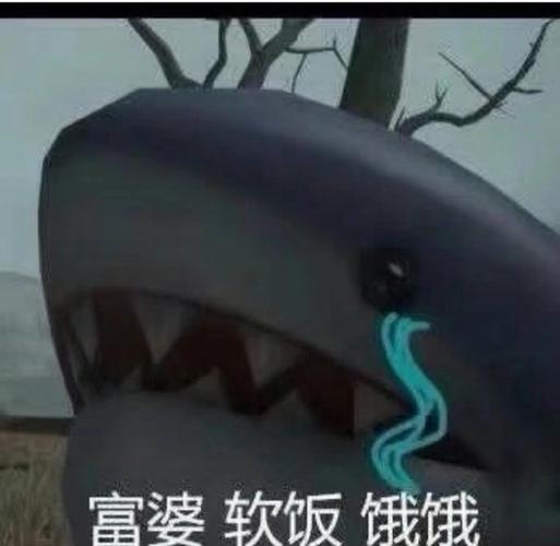 已找到找一个富婆软饭饿饿的表情包