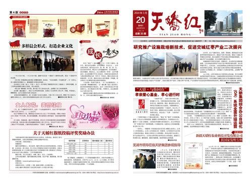 电子平板报纸