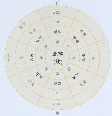 吃猕猴桃季节来了
