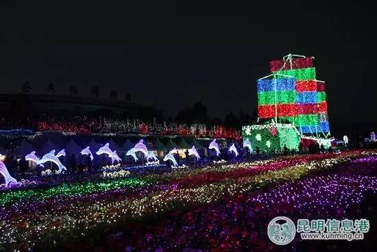 昆明世博园 女性游客门票每位50元 眼下的世博园,花园大道竞相绽放的