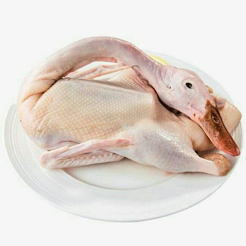 鹅肉老鹅新鲜6斤养大农家农村土鹅鹅肉