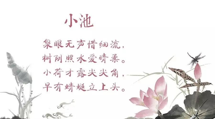 小荷蜻蜓泉水树荫,这些初夏的美,都在杨万里的《小池》里