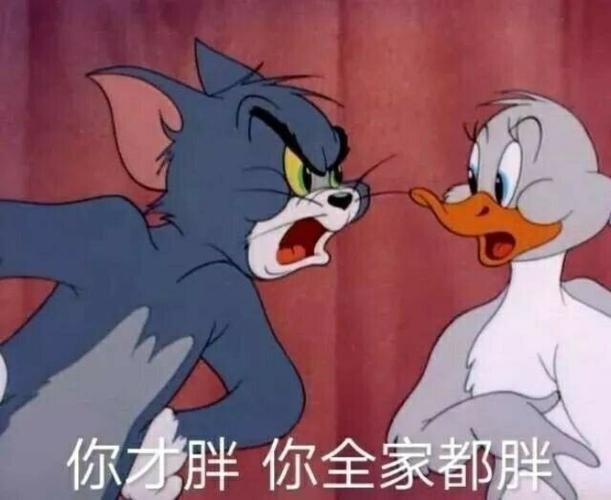 猫和老鼠表情包