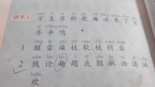 小伙伴组词