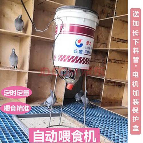 养鸡自动喂鸡喂食器鸡鸭神器自动投投料机喂鸽子饲料定时下料器 海外