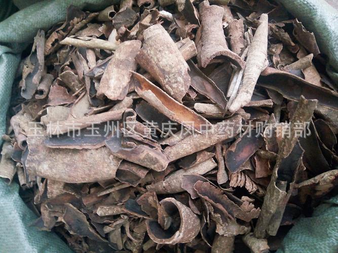 中药材批发天然野生新货正品救必应龙胆木皮九层皮凉茶原料