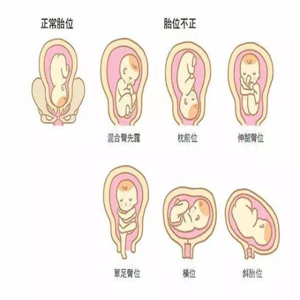 怀孕34周,是怀孕的第几个月?你想了解的真相都在这里