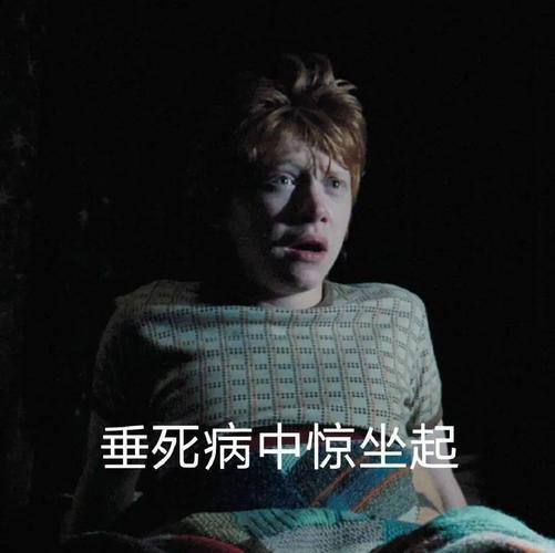 哈利波特表情包今天不学习明天变垃圾
