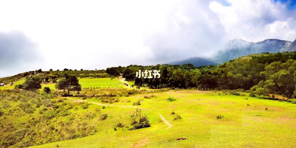 香港行山之_香港_昂坪高原_马鞍山郊野公园_露营_风景