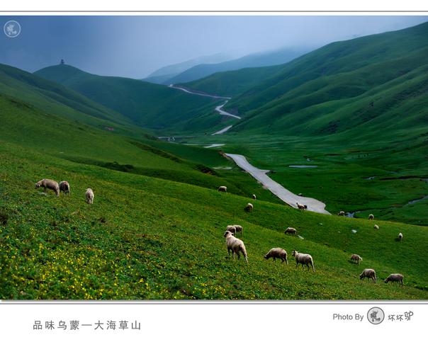 标题:雨中的大海梁子