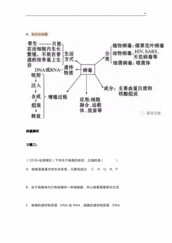 病毒有关知识材料点复习材料学习总结.doc 9页