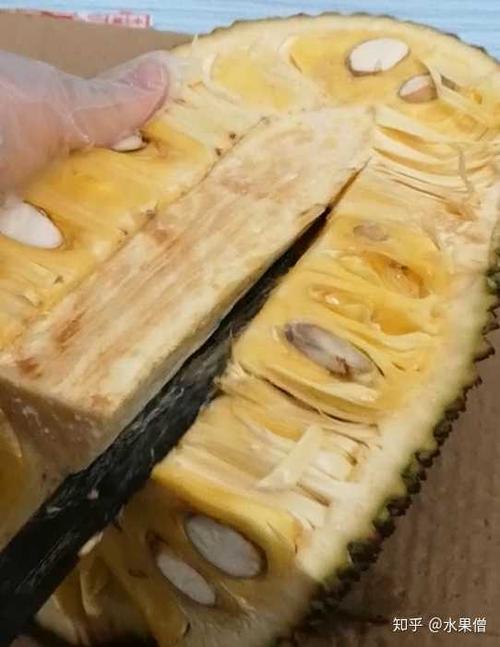 天猫哪家菠萝蜜好吃?