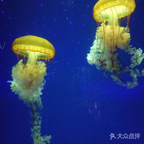 兰州极地海洋世界图片-北京海洋馆-大众点评网