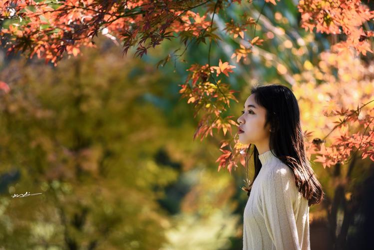 标题:枫叶女孩