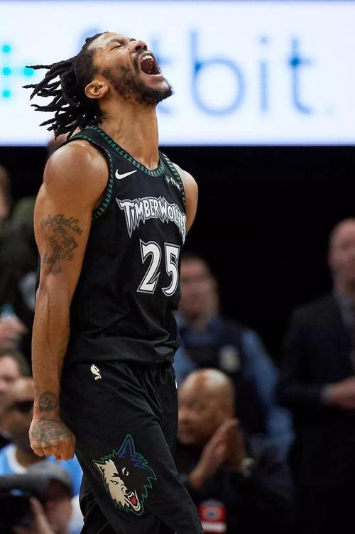 德里克·罗斯无水印壁纸!