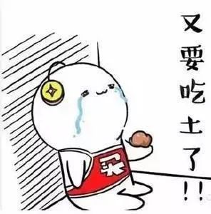 双十一后又要吃土了!