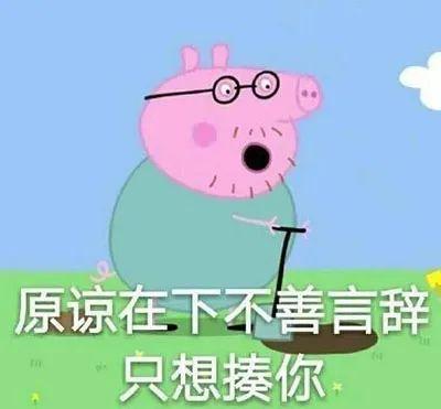 小猪佩奇表情包原谅在下不善言辞只想揍你
