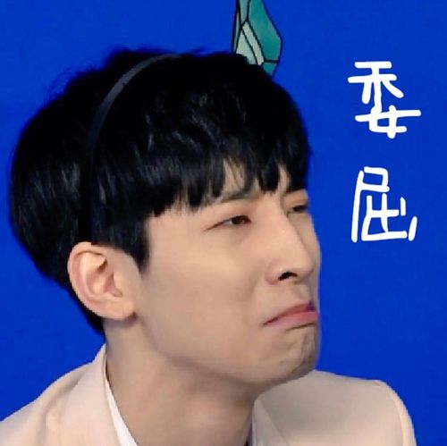 seventeen 全圆佑 表情包