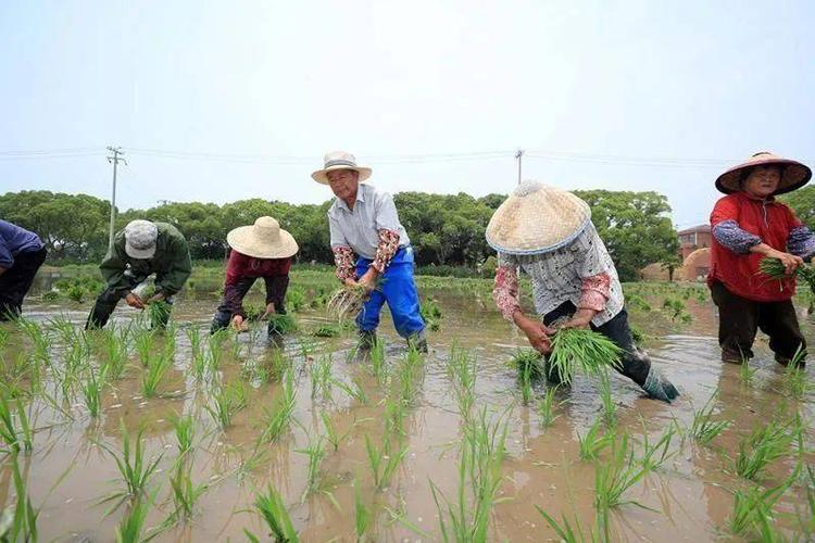 宜春人,你妈喊你回屋逖秧里