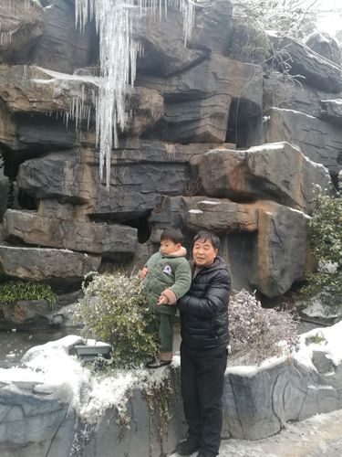冰天雪地的怀化中坡后山游乐场,无论小草,大树都披了厚厚的银装,我们