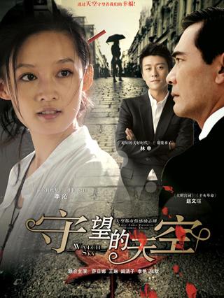 守望的天空电视剧全集