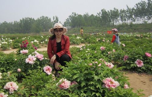 德州诗词协会减河湿地牡丹园采风活动