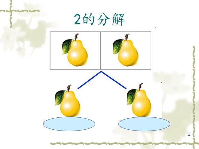 2的分解与组成ppt课件