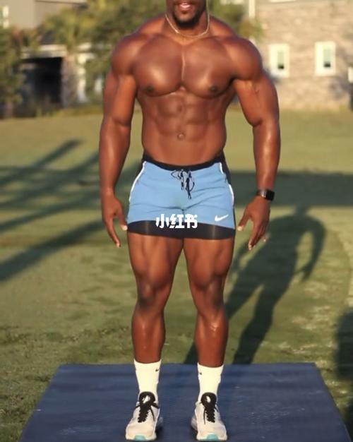 橄榄球运动员体能内训_橄榄球_燃脂_腹肌_胸肌_暴汗燃脂瘦全身_运动