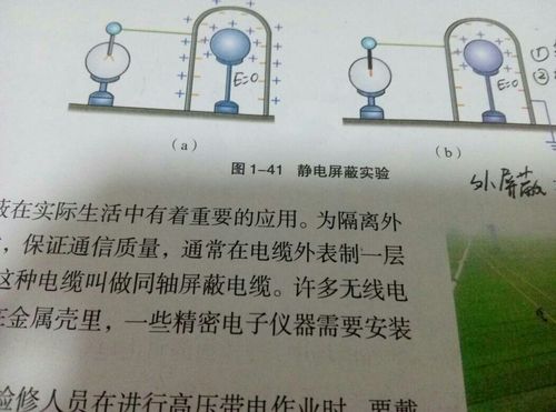 物理静电屏蔽的外屏蔽是金属壳内部场强为0还是外部场强为0